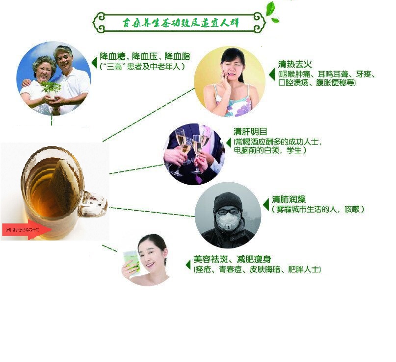 桑葉茶，營(yíng)養(yǎng)長(zhǎng)壽健康之茶