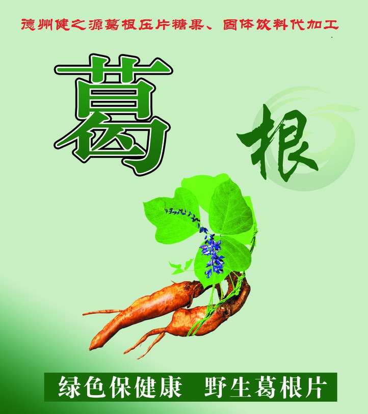 葛根，男女通用的人體調(diào)理專(zhuān)家