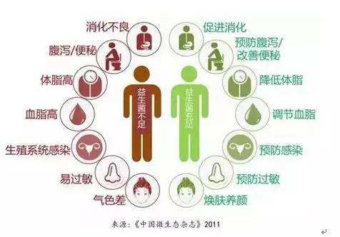 夏天腸胃問題頻發(fā)，您應(yīng)該用益生菌了